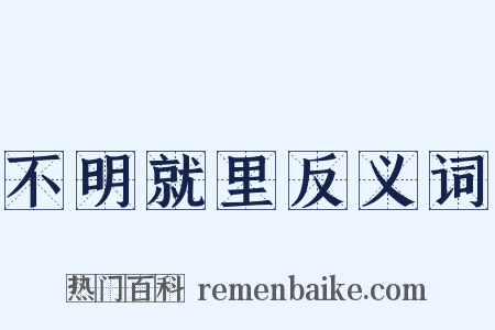 不明就里反义词是什么意思的图片